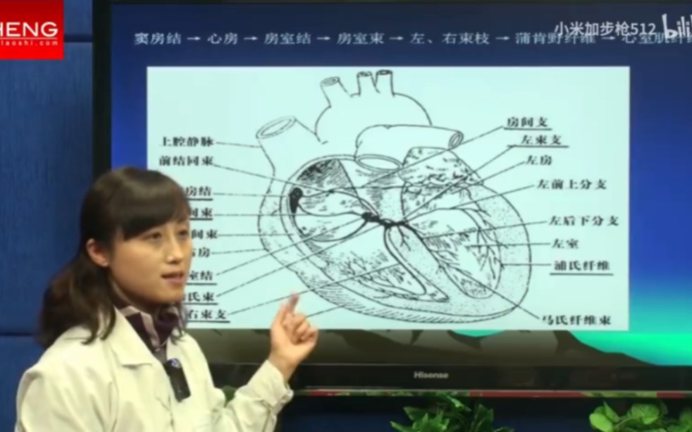 第四军医大——心电图速成(郭雅卿)哔哩哔哩bilibili