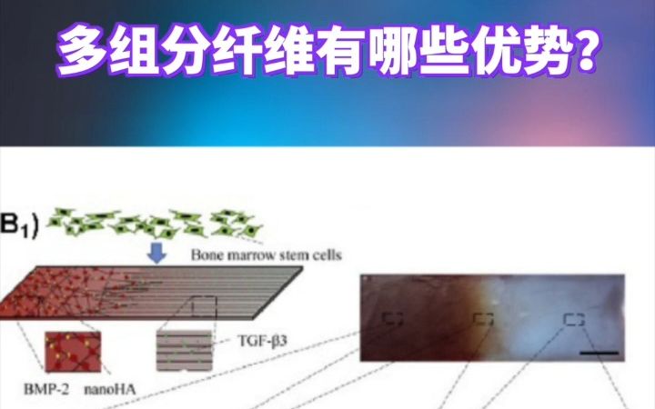 【纺丝百科】静电纺丝如何高效制备多组分纤维?哔哩哔哩bilibili