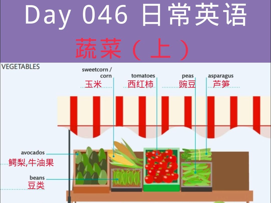 第46天 日常英语 地道表达 【蔬菜】的表达哔哩哔哩bilibili