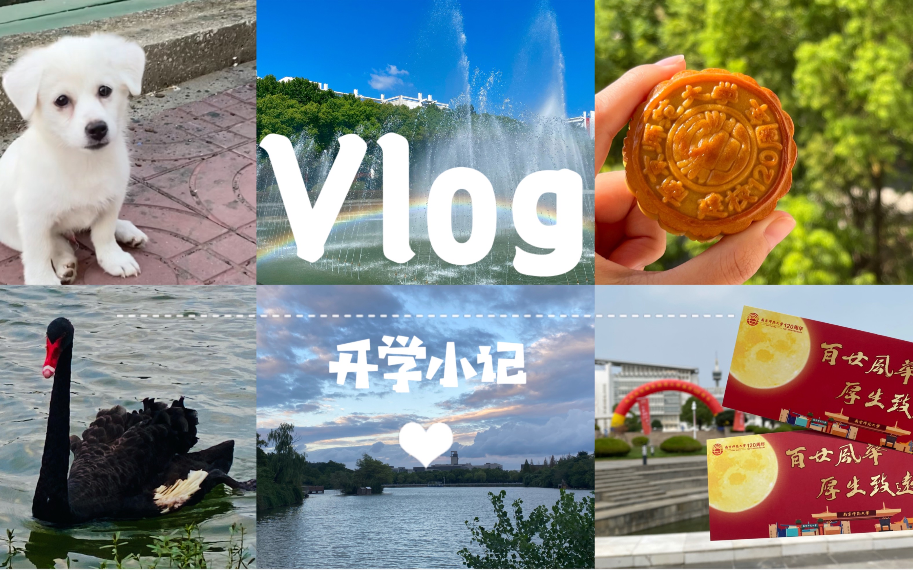 Vlog|返校𐟏믥—师大120周年校庆𐟎‰/开学两周记𐟒Œ哔哩哔哩bilibili