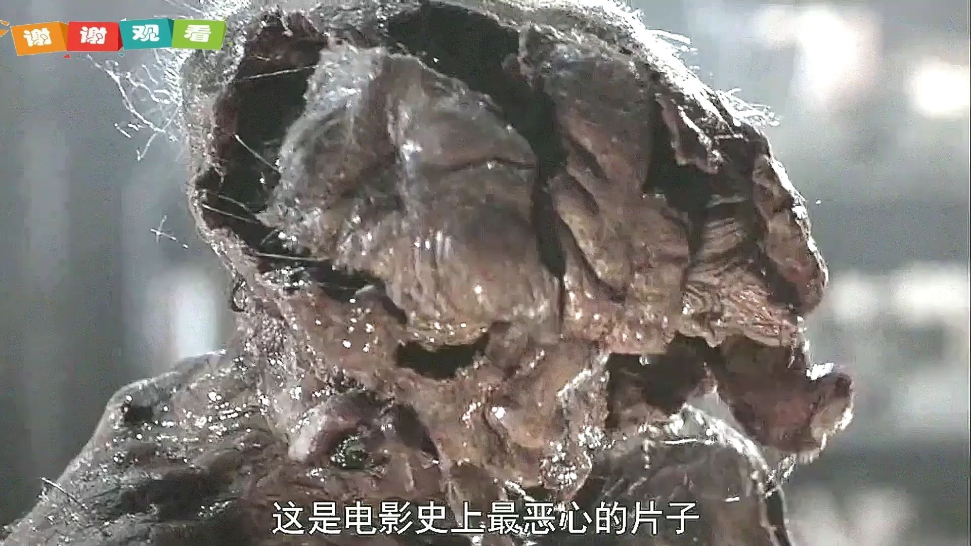 这是电影史上最恶心的片子,来自1986年的《变蝇人》