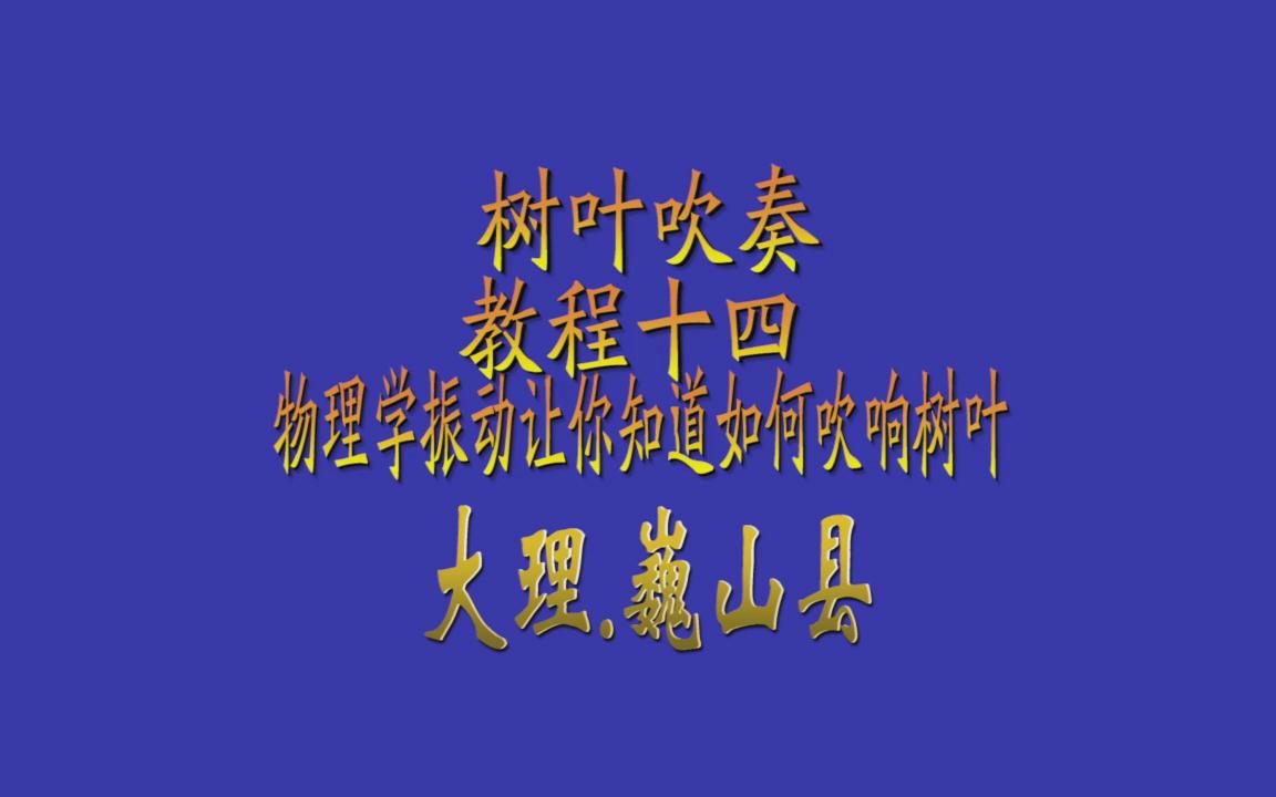 树叶吹奏 教程 十四 用物理学的角度带你理解吹响树叶哔哩哔哩bilibili