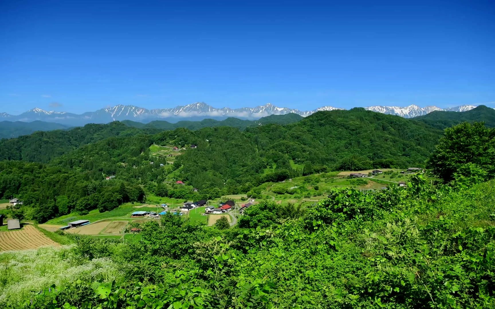 实拍素材-唯美青山绿树自然美景实拍雪山森林村落拍摄摄影风景物