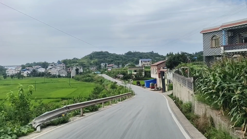 从四川省广安市去南充市哔哩哔哩bilibili