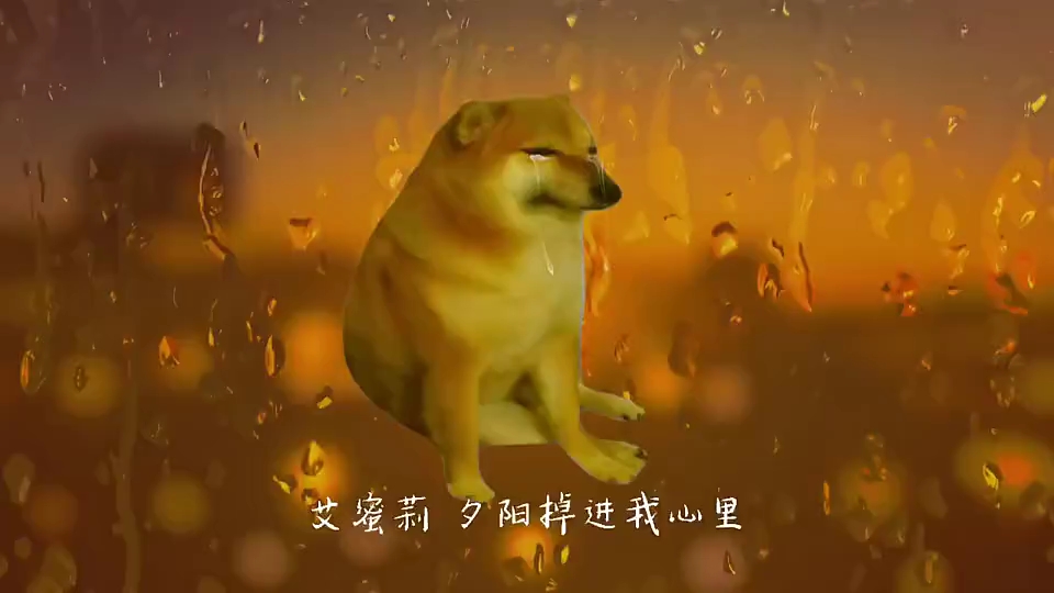 微信朋友圈背景拜托~修狗超酷的哔哩哔哩bilibili