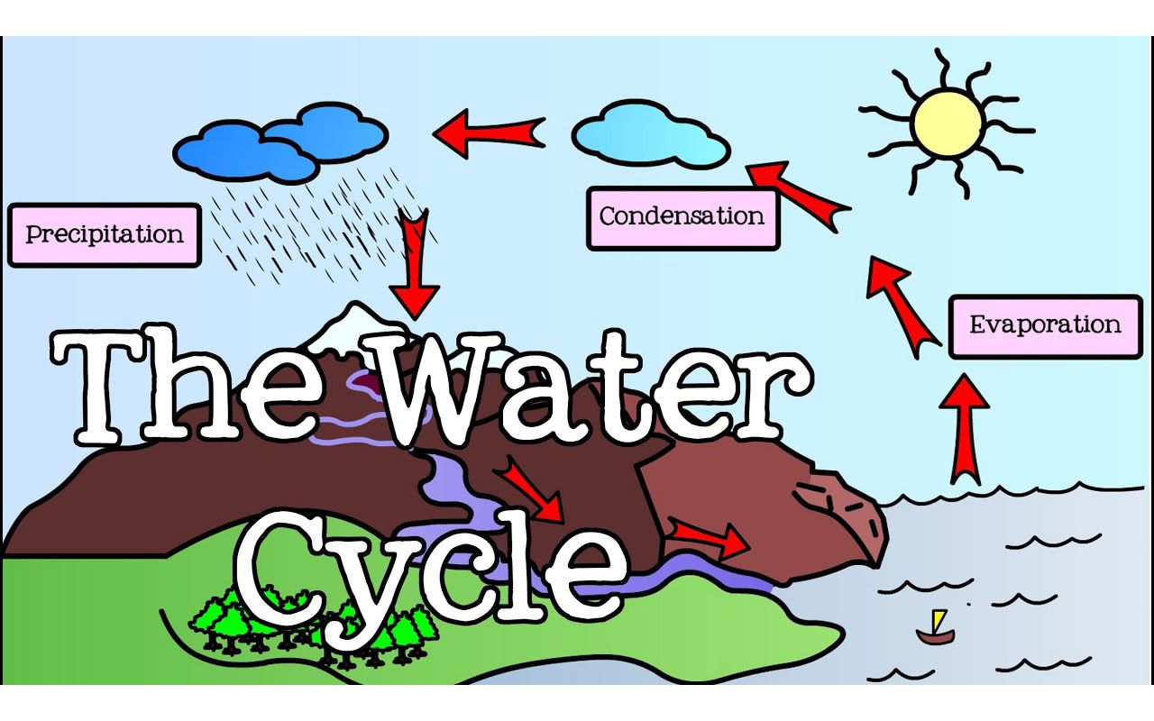 [图]All About the Water Cycle for Kids： Introduction to the Water Cycle for kids