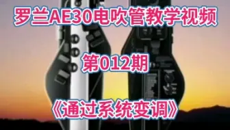 第012期《通过系统变调》 罗兰AE30电吹管系列教学视频，中文最新版本下重拍。