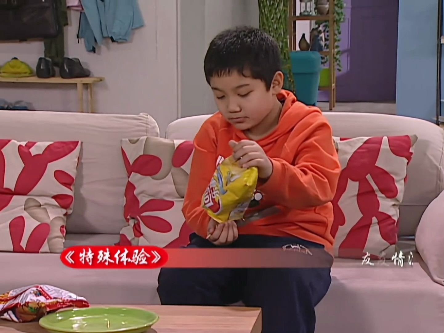 【家有儿女 第三部】33·1 特殊体验