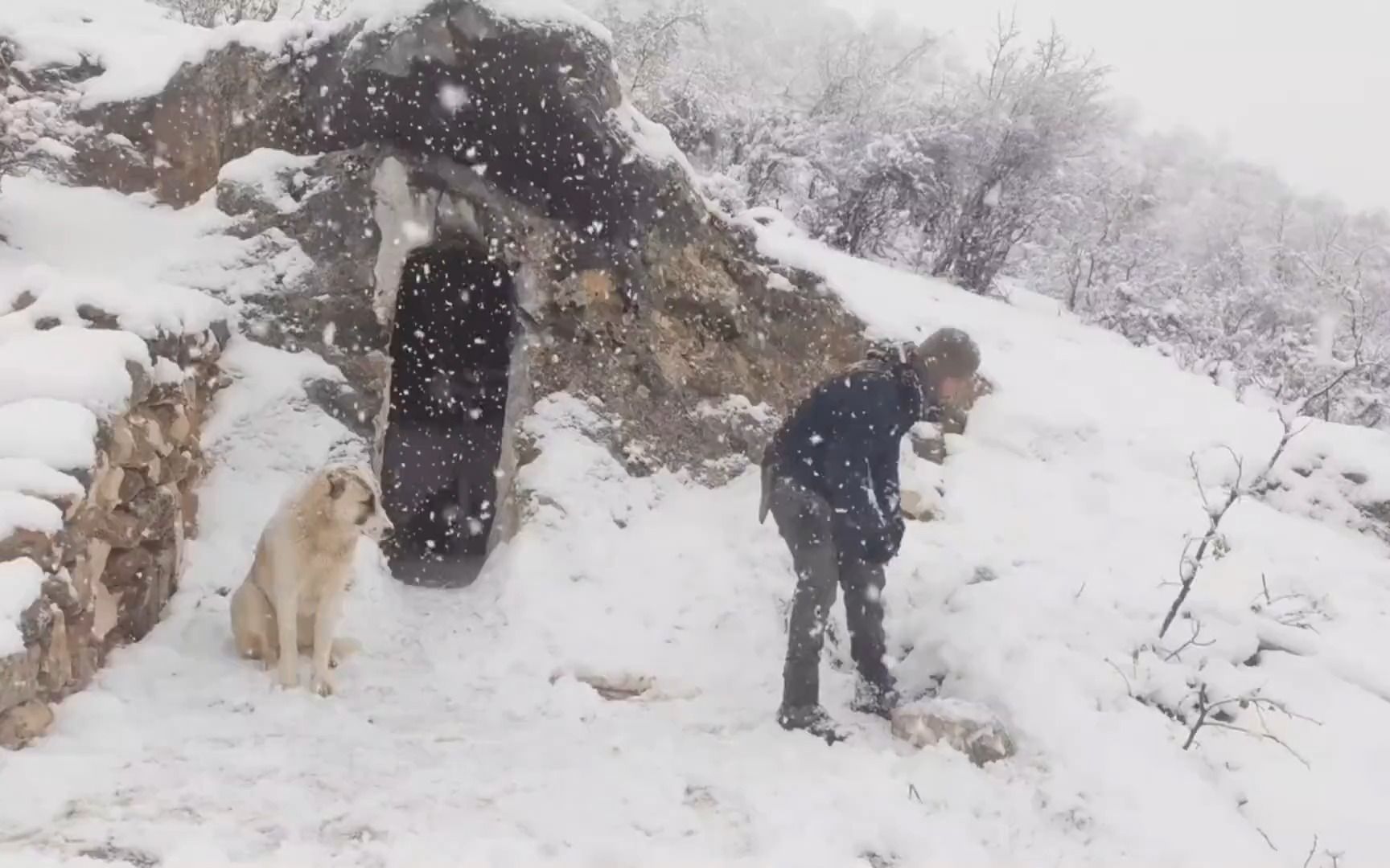 [图]野外生存：一人一狗在野外搭建庇护所，突如其来的暴风雪如何面对