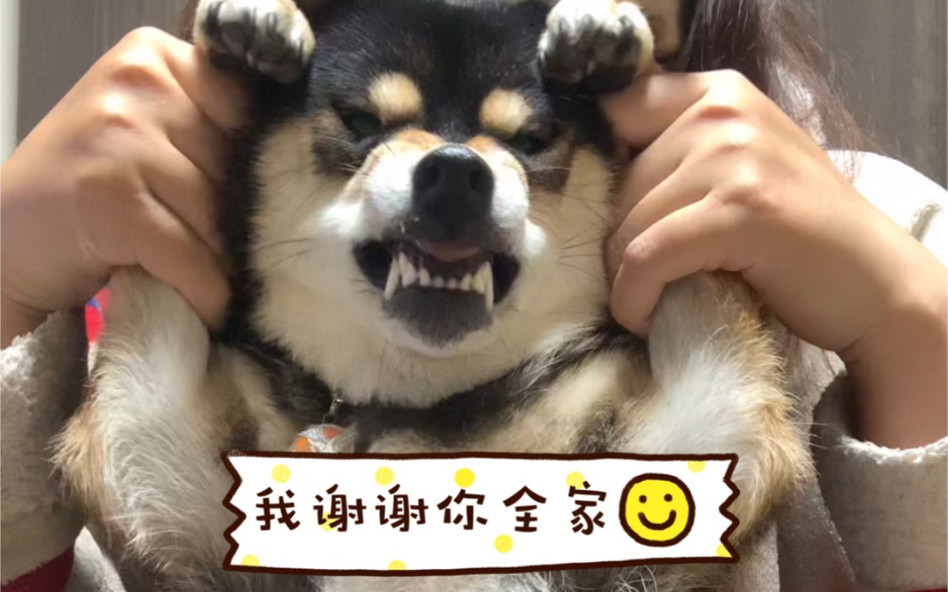 《听我说谢谢你》(我谢你全家版)-尼古拉斯