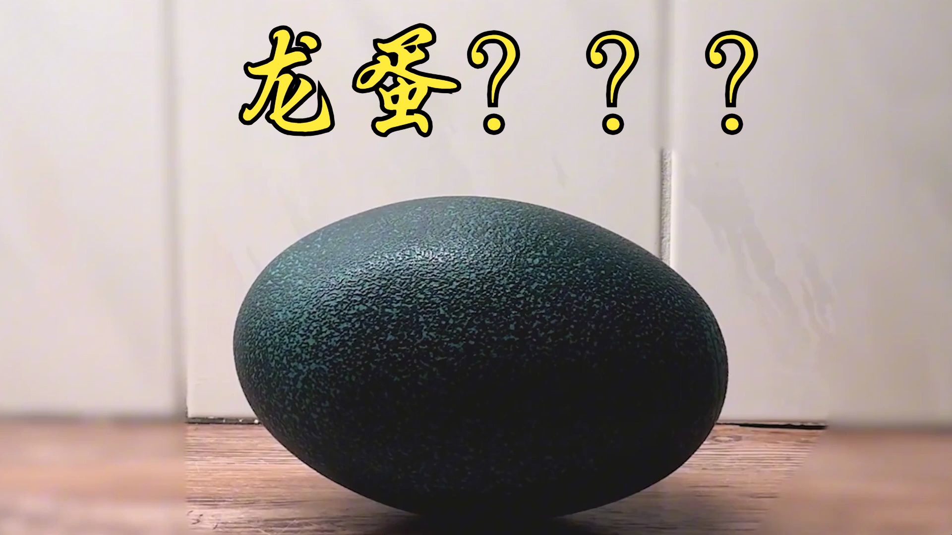 男子野外捡到3枚"龙蛋",准备人工孵化.龙妈:"这个我熟"