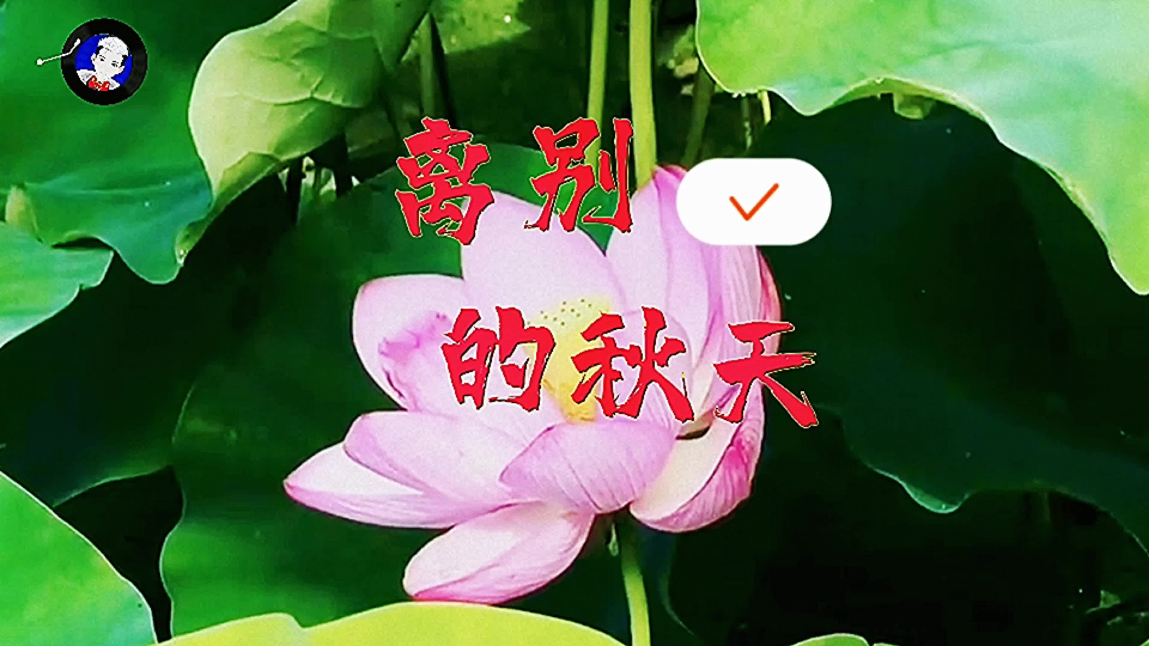 《离别的秋天》感人的故事,唱出多少了离别时候的痛苦
