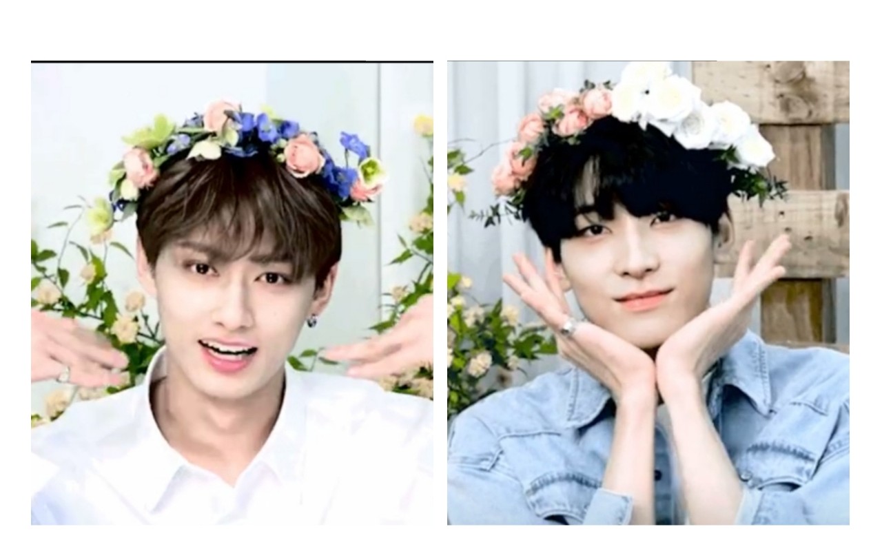 【seventeen/佑灰/文俊辉全圆佑】王五搞喵日志_哔哩哔哩 (゜-゜)つロ