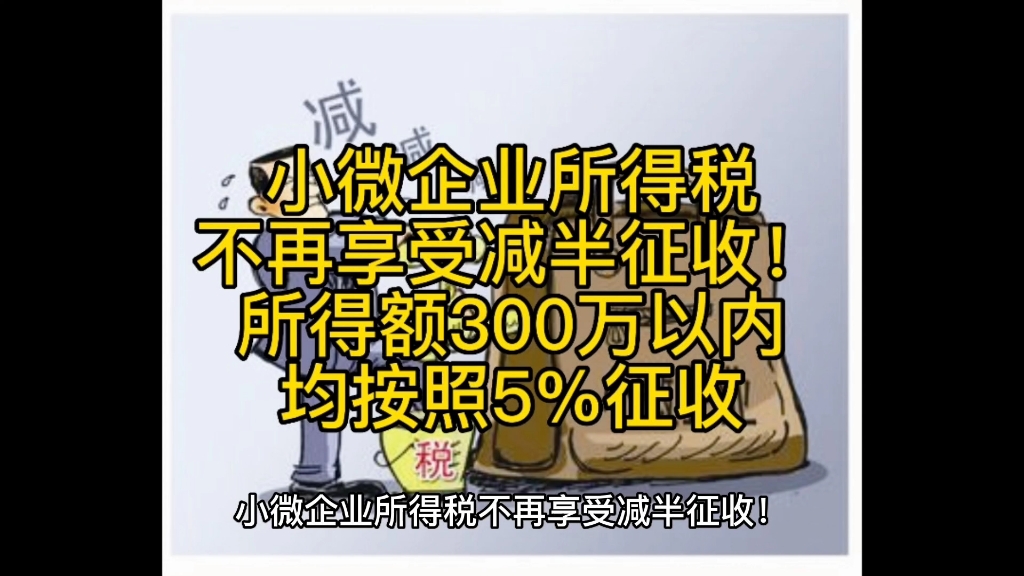 小微企业所得税不再享受减半征收!所得额300万以内,均按照5%征收哔哩哔哩bilibili