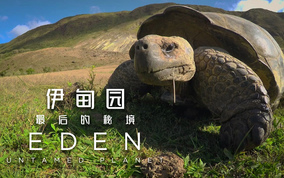 伊甸园:最后的秘境看点4-3-纪录片-高清独家在线观看-bilibili-哔哩