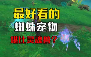 Download Video: 【魔兽世界】仙气飘飘的“梦魇”蜘蛛？猎人可获得的最好看的蜘蛛！