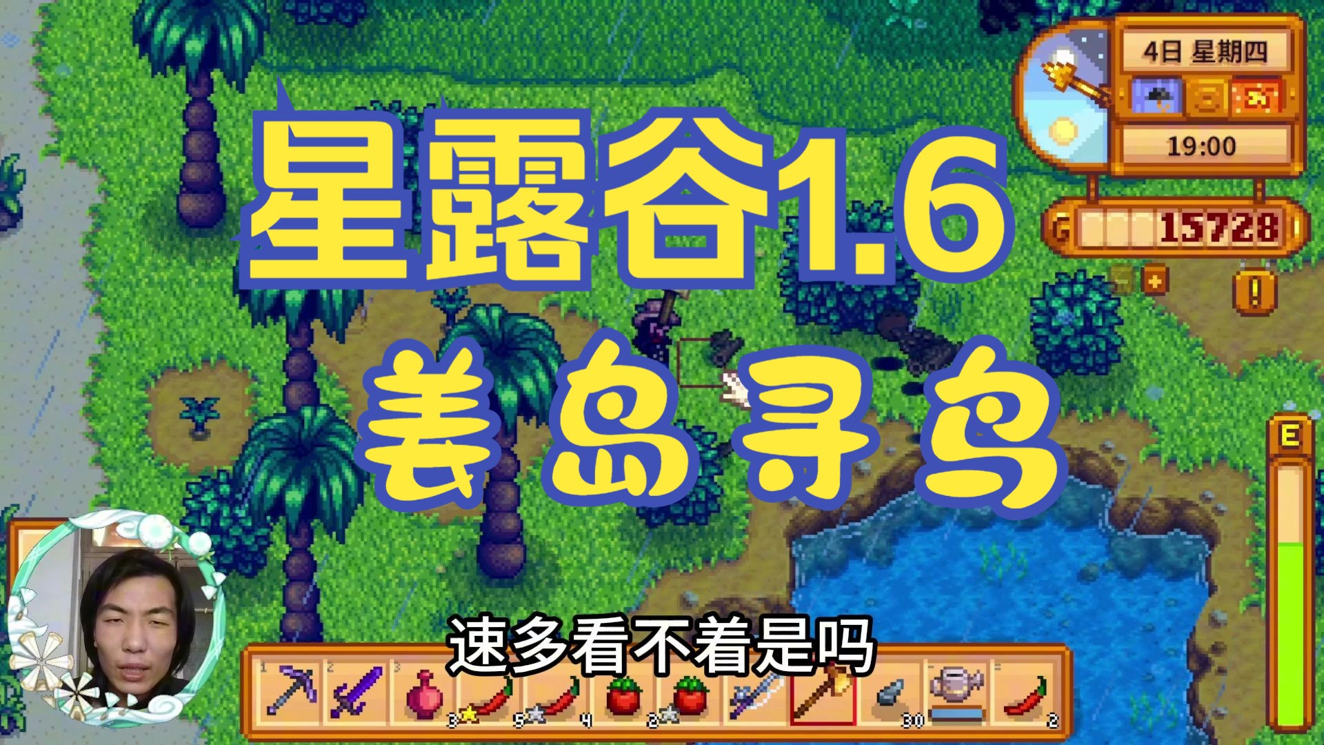 【星露谷1.6】姜岛,雨天,神鸟你在哪里?