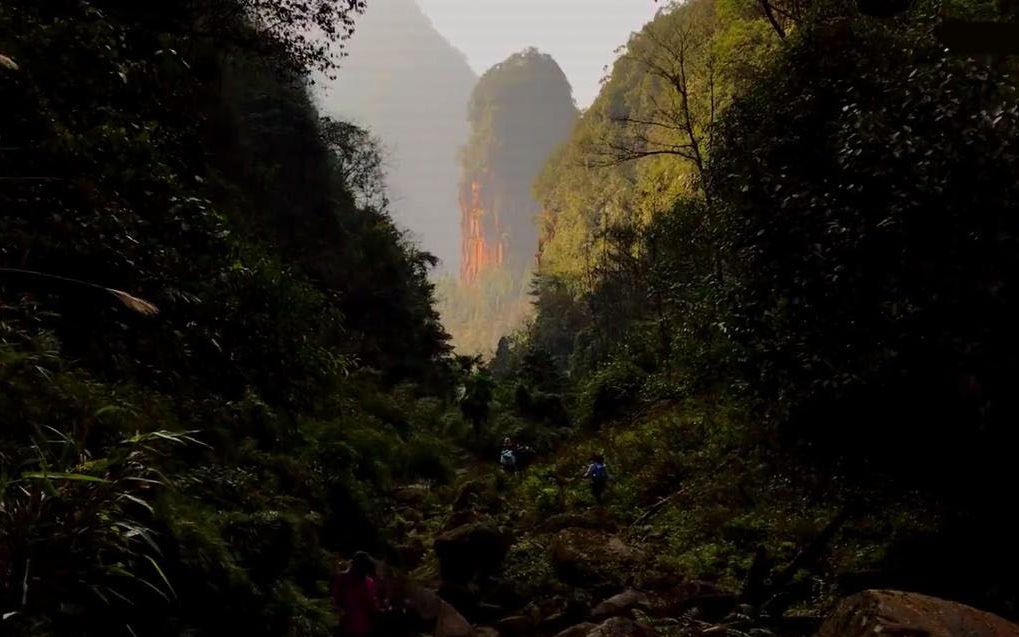 [图]川黔渝接壤处的秘境，山丹如霞水碧成画，这里是贵州遵义的赤水