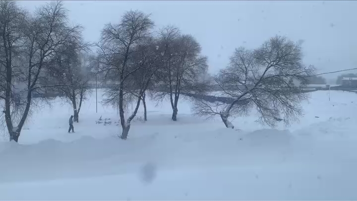 特大暴雪来袭!主播去堆雪人了