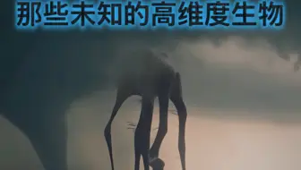 那些未知的高维度生物