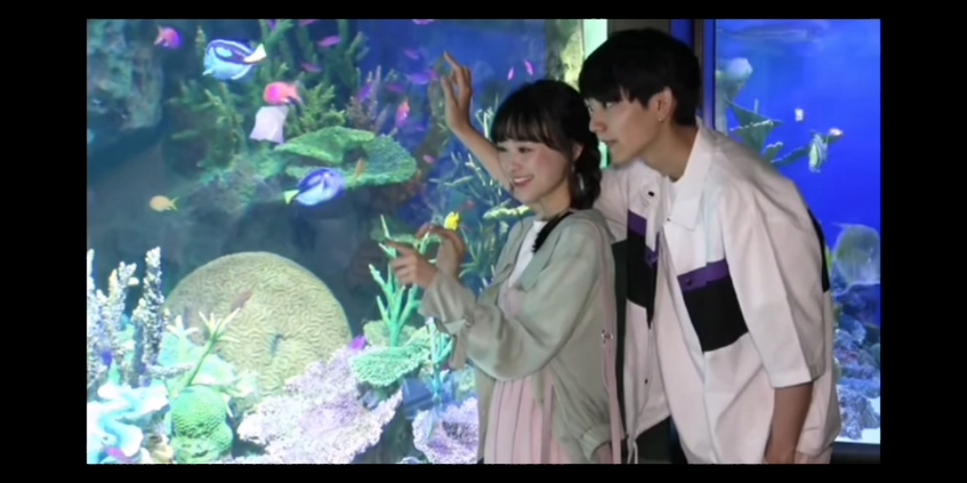 #铃木美羽#考古之水族馆拍摄美羽&ki哔哩哔哩bilibili