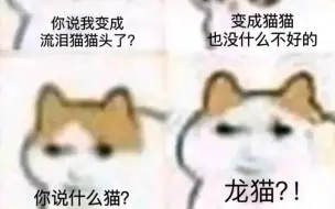 Tải video: 你说什么猫？龙猫？