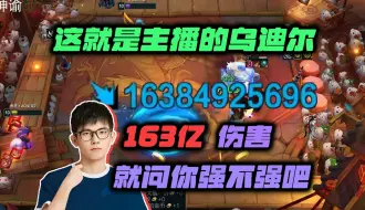 Descargar video: 【云顶之弈】幻灭：这就是主播的乌迪尔吗？打出163亿伤害？？？