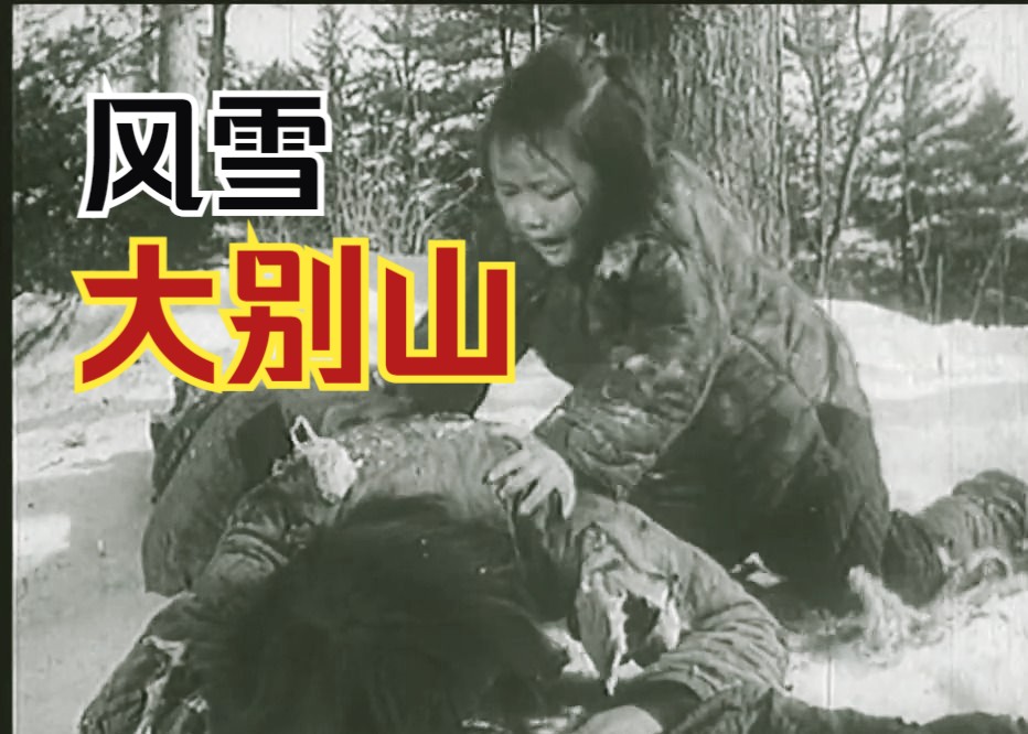 [图]《风雪大别山 (1961)》红色经典革命斗争题材革命战争情感故事片 高清修复黑白影片完整版免费观看（雷平主演）