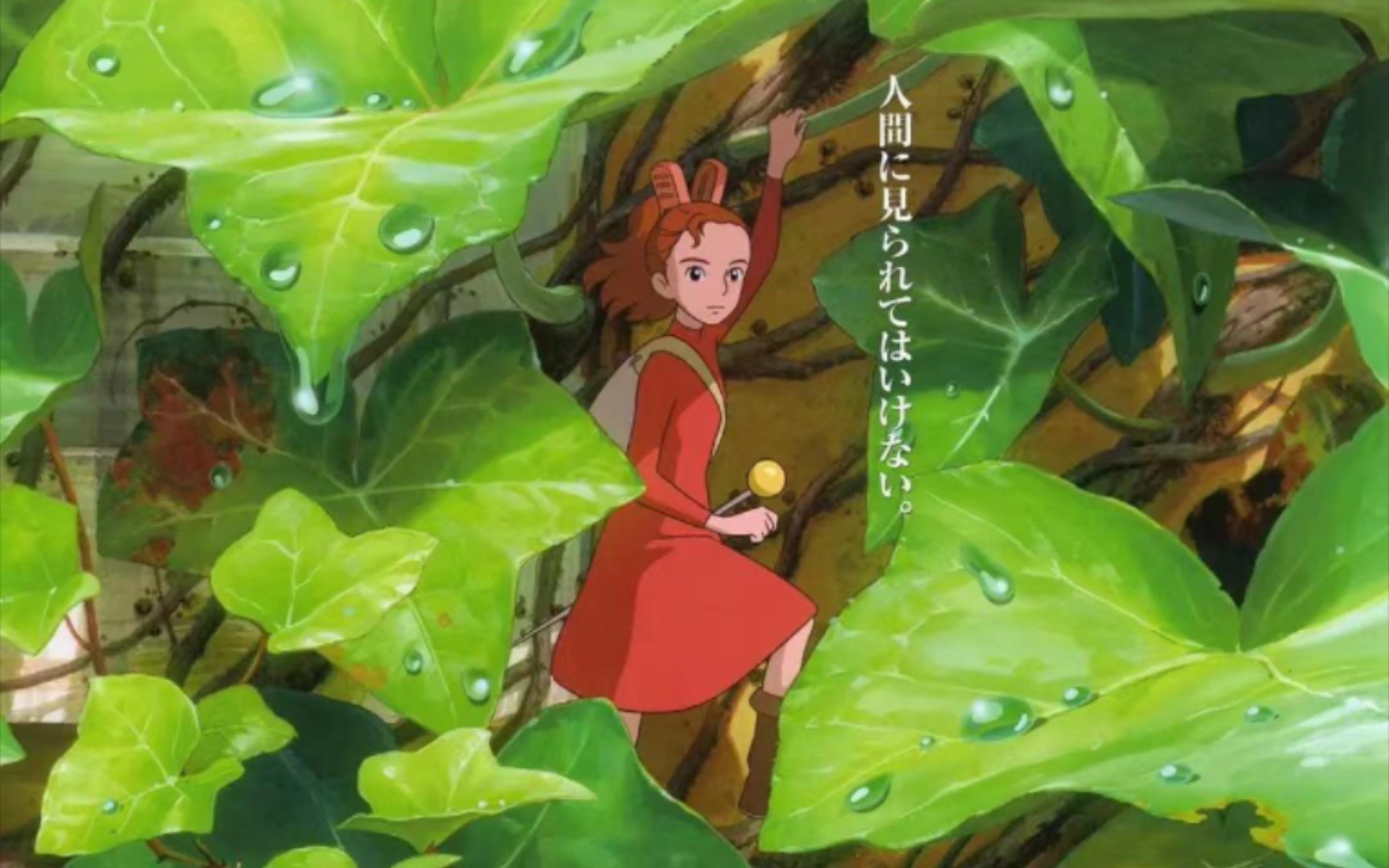 借东西的小人阿莉埃蒂 宫崎骏