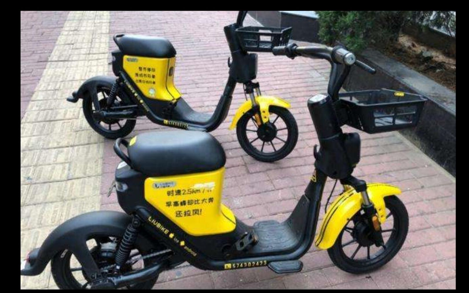 骑我所爱我是ofoπ小黄车3d建模下