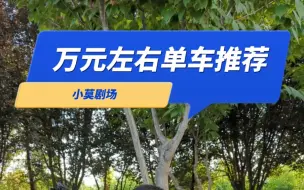 Download Video: 万元左右 推荐的五个品牌 你觉得哪个性价比高？