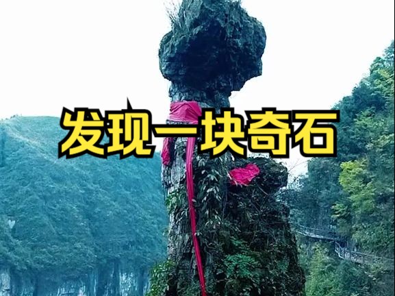 贵州大山发现一块奇石,像一个古代美女抱着婴儿,在等待谁的归来哔哩哔哩bilibili