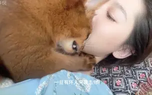 下载视频: 猫咪爱主人的表现都有哪些