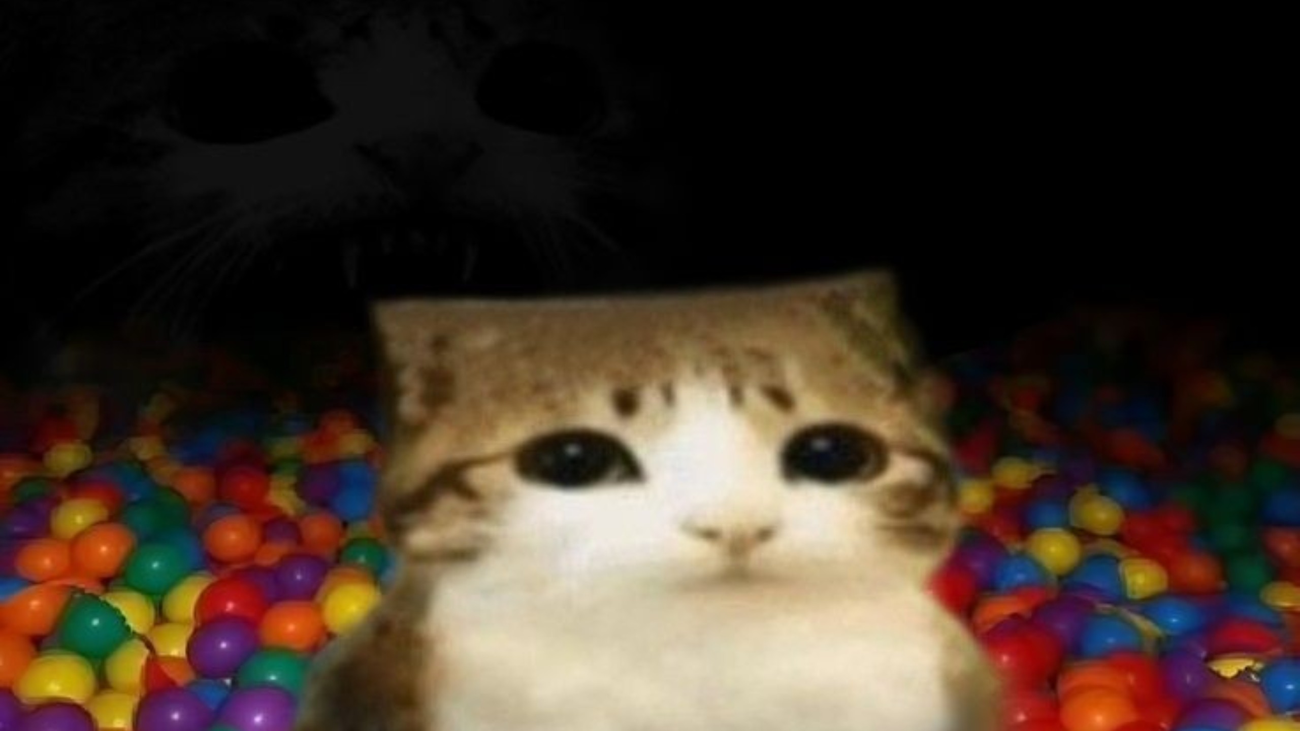 【混沌memes】有时会希望一天有30个小时的迷因合集