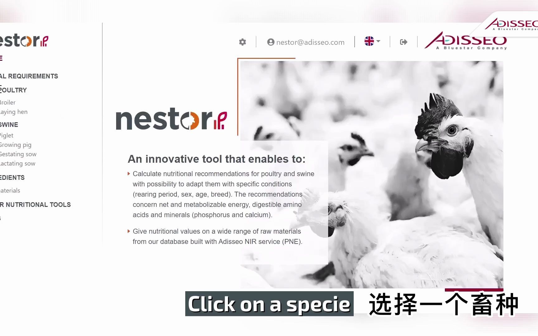 NESTOR(中英双语字幕)哔哩哔哩bilibili