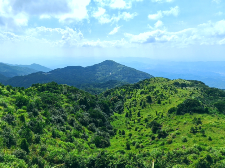 大容山国家森林公园
