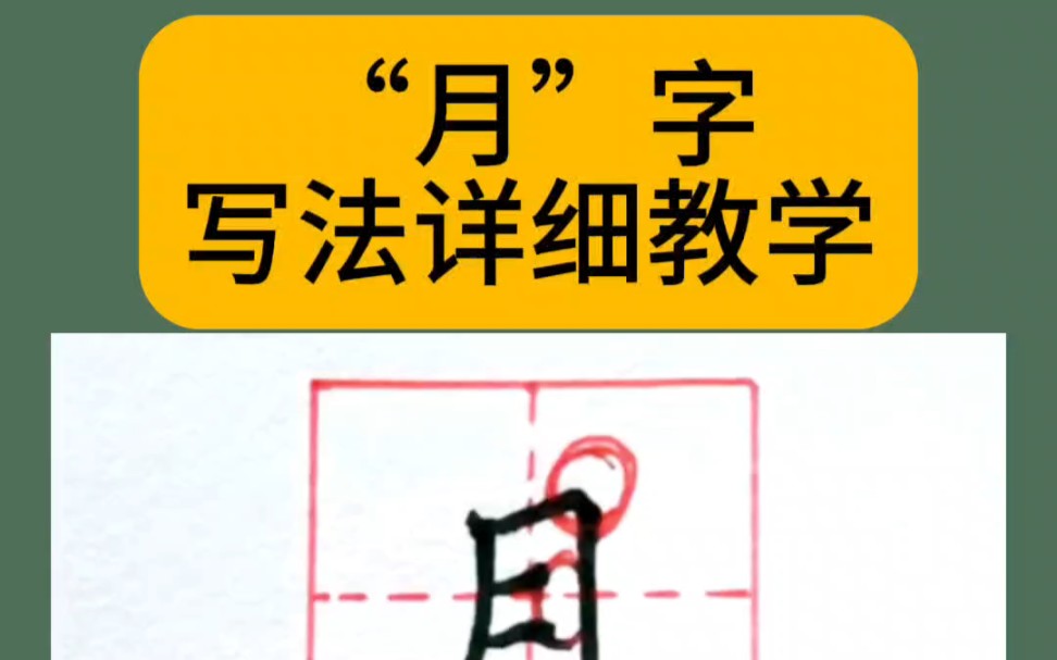 月字写法教学哔哩哔哩bilibili