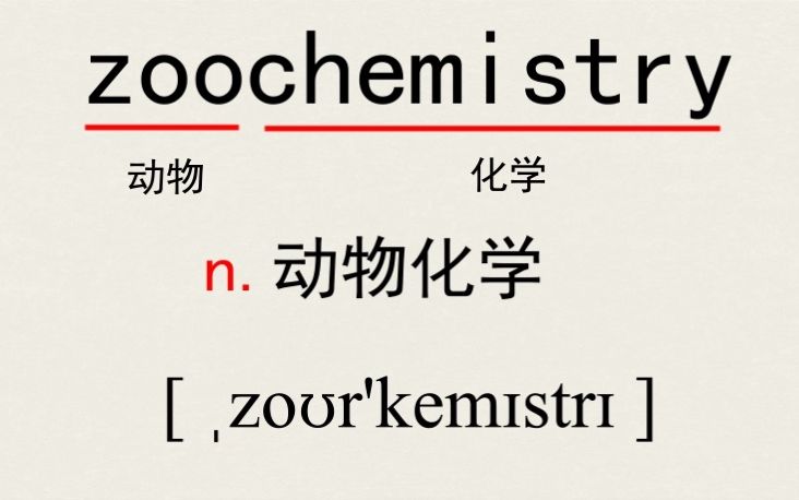 轻松学英语、每天仨单词【zoo】哔哩哔哩bilibili