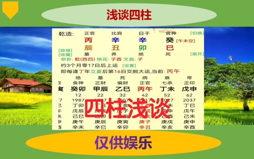 辛卯日命理学经典案例,富贵.哔哩哔哩bilibili