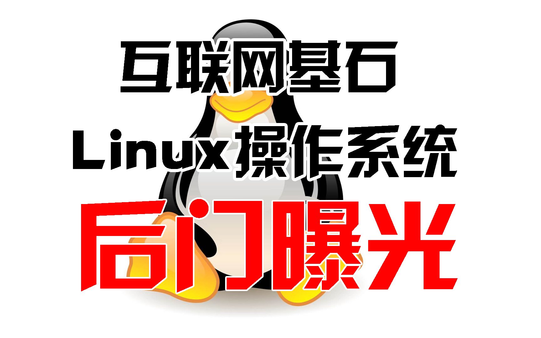 曝光!美国国安局NSA的Linux“顶级后门”Bvp47“电幕行动”哔哩哔哩bilibili