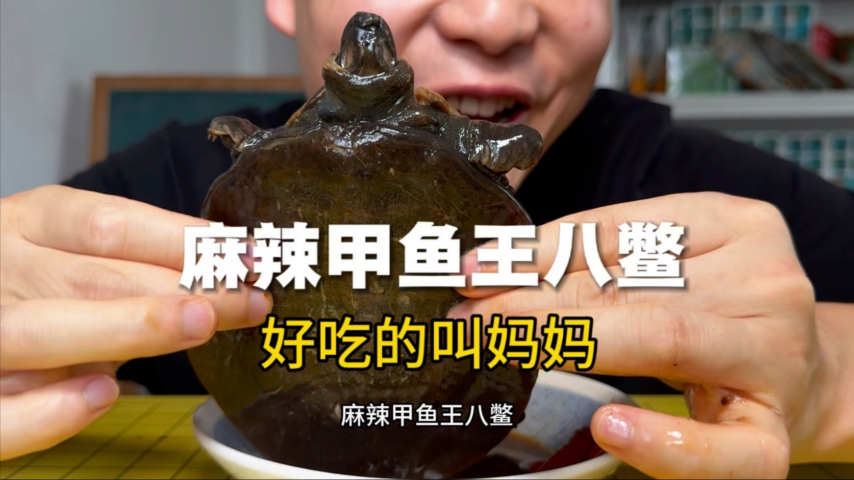 就这麻辣甲鱼王八鳖,好吃的call mother!-不信邪的斯坦-不信邪的斯坦-哔哩哔哩视频