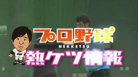 Pro野球番组特辑 17年pro野球熱血情報 哔哩哔哩 つロ 干杯 Bilibili