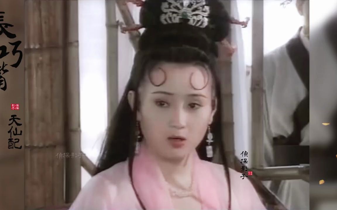 新天仙配1998罗慧娟版图片