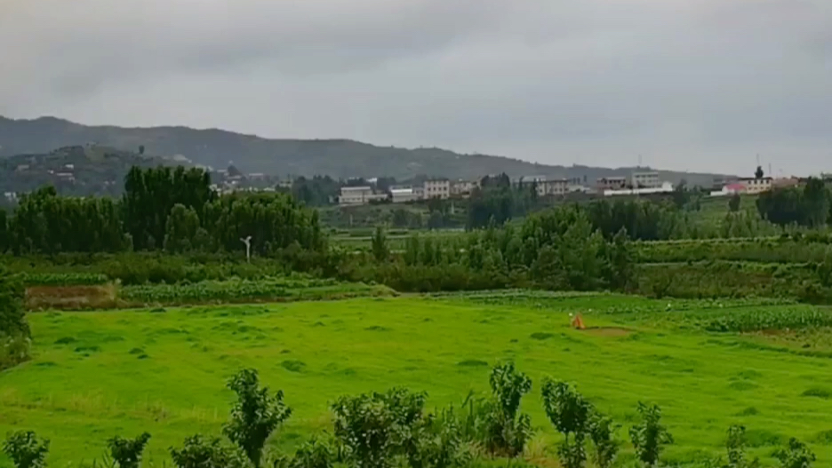 [图]煎饼黄农场的茫茫大草原