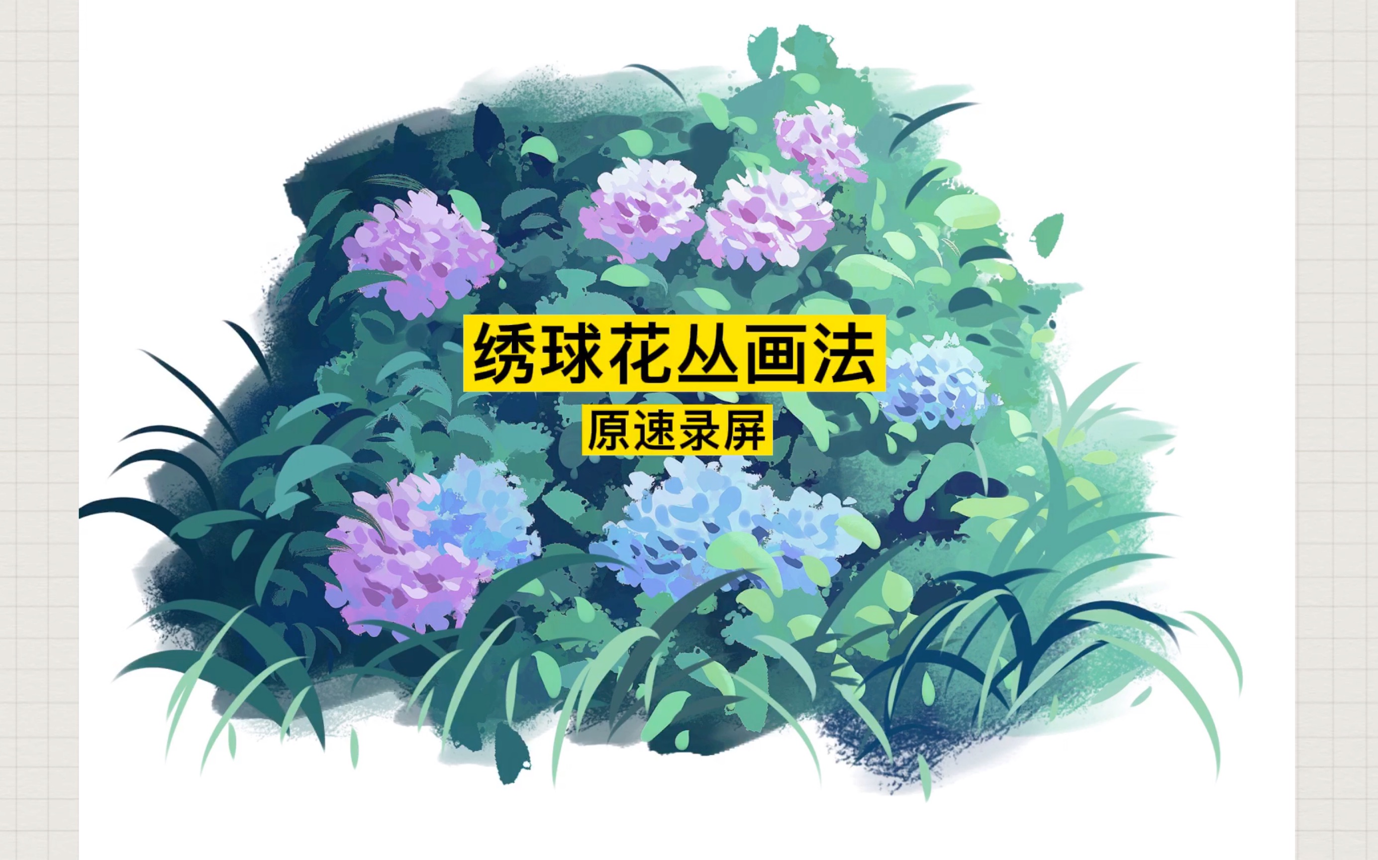 绣球花丛画法 原速录屏分享哔哩哔哩bilibili