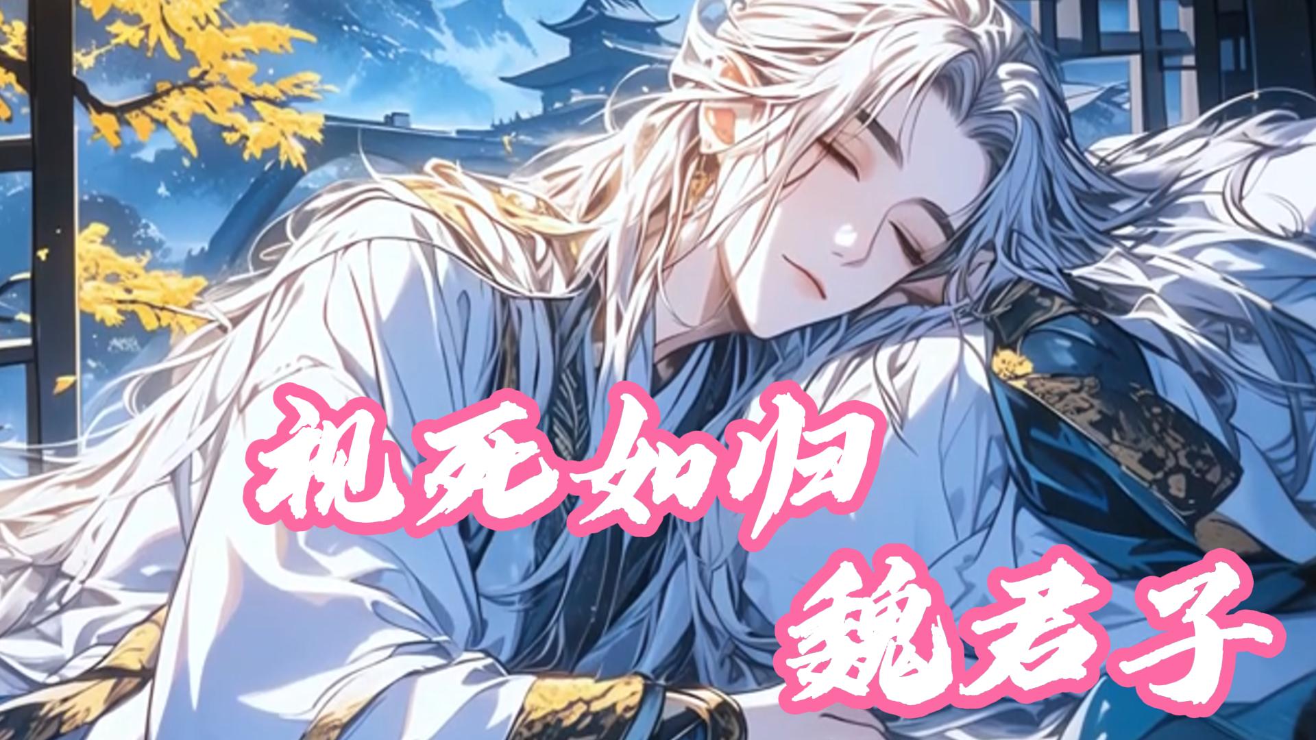 视死如归魏君子 B站