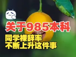 Download Video: 关于我的985本科同学裸辞率不断上升这件事