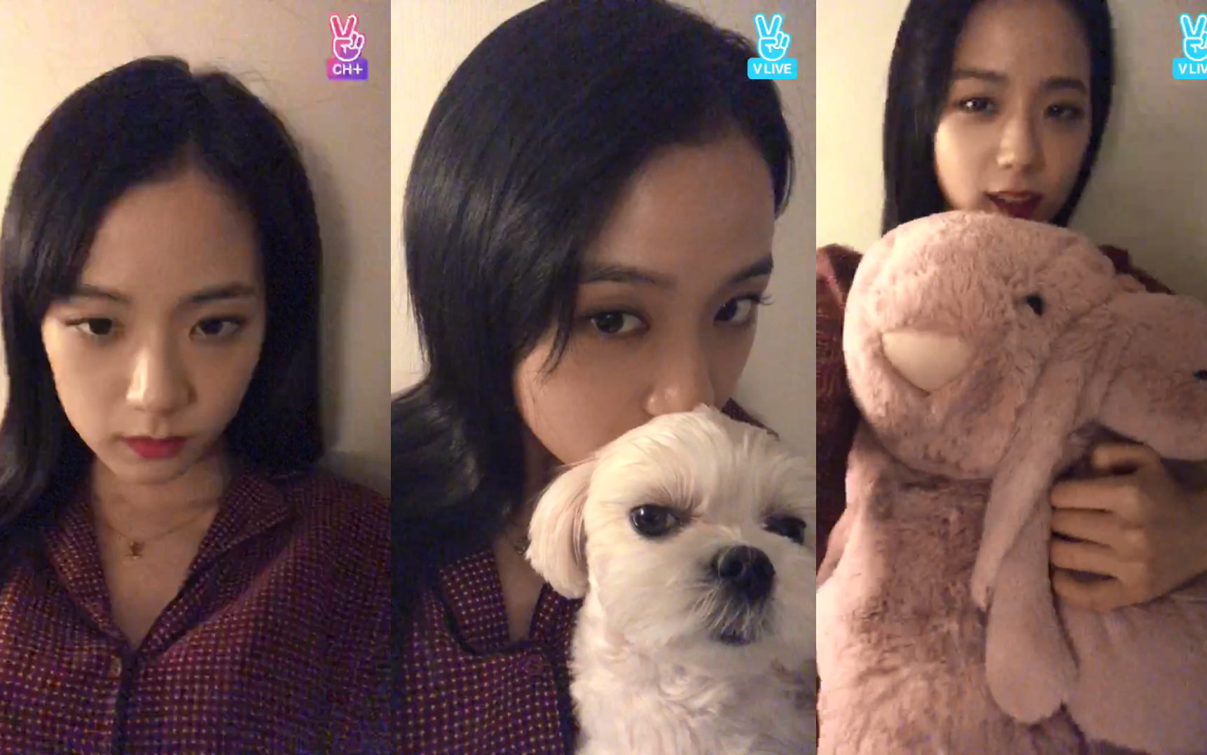 【7099180207】jisoo月熊房间直播两则 | chu夜晚7893