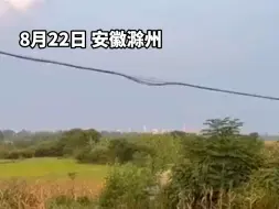 Download Video: 夏令营组织射箭，两小孩不小心把箭射到墓碑上，两个小孩立刻下跪道歉。