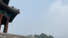 花冠海燕坦克世界闪电战3 哔哩哔哩 つロ干杯 Bilibili